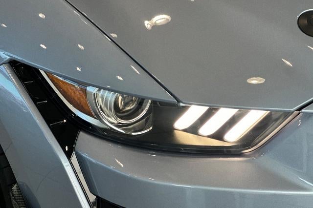 2022 Ford Mustang Shelby GT500 Fastback