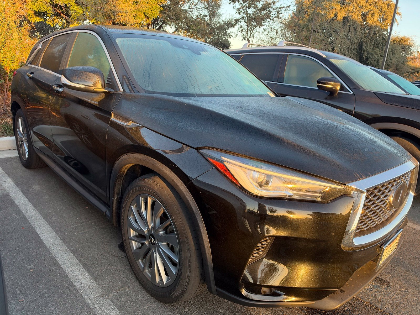 2023 INFINITI QX50 PURE