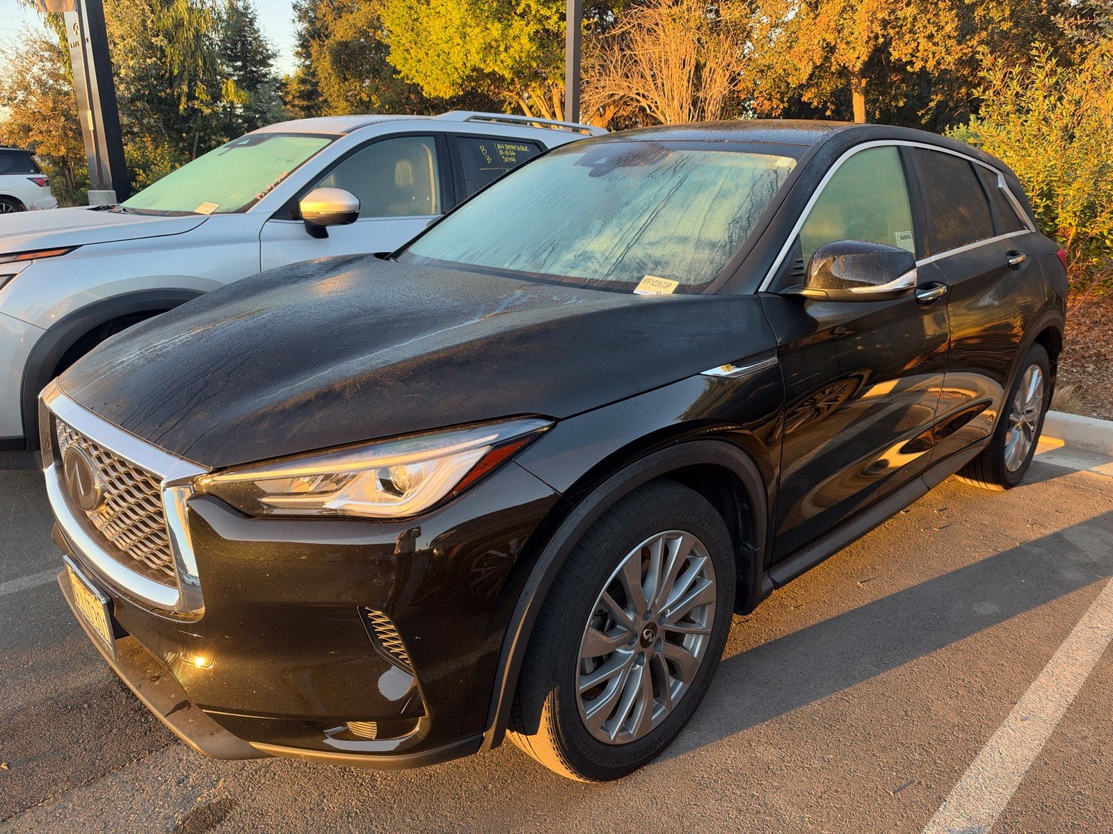 2023 INFINITI QX50 PURE